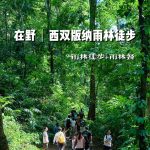 到版纳曼么雨林穿越徒步❗️几千公里没白飞_1_小侠游云南_西双版纳-森林-来自52tours 我爱旅游网